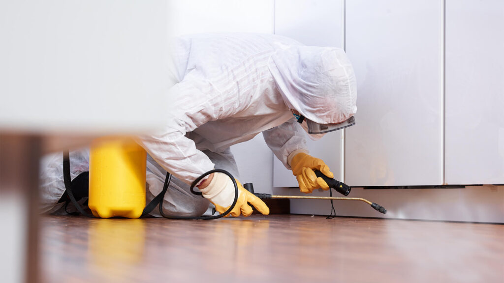 Check Out This Pest Control Directory